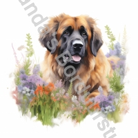 Mok Leonberger 7