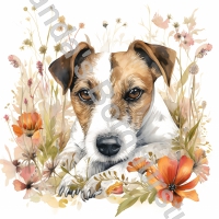 Mok Jack Russell 7