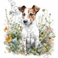 Mok Jack Russell 9