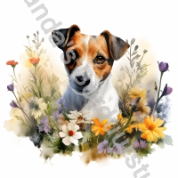 Mok Jack Russell 17