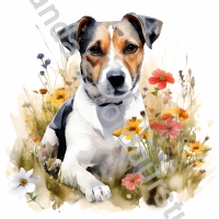 Mok Jack Russell 14