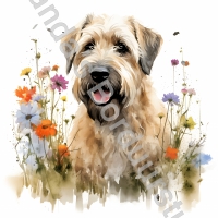 Mok Soft Wheaten 10